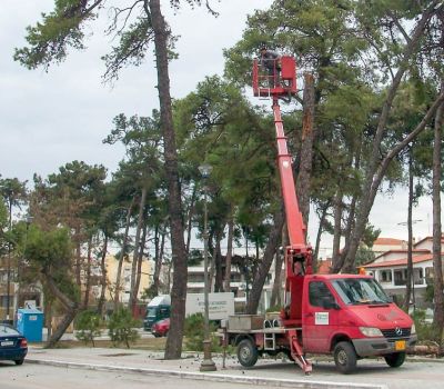 Εκτεταμένες εργασίες φροντίδας και αναζωογόνησης του πρασίνου σε όλες τις δημοτικές ενότητες  