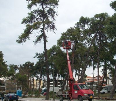 Εργασίες κλαδέματος και φυτεύσεων